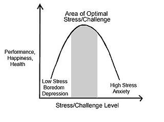 Stress Challenge Graph